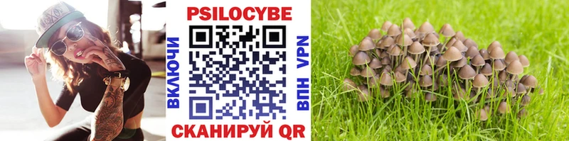 hydra вход  Александров  Галлюциногенные грибы Magic Shrooms 